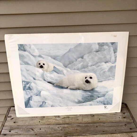 Charles Frace "Peace on Ice" Hand Signed & Numbered Print Autographed Harp Seals - Picture 1 of 11